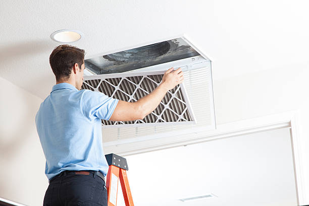Best Air Filters and Purifiers in West Sharyland, TX